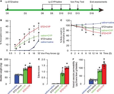 NLRP3+ macrophages aggravate inflammatory cystitis in diabetes